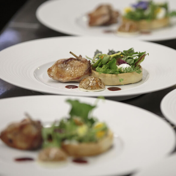 Fine game dish with vegetables and herbs, artfully presented on white porcelain plates.
