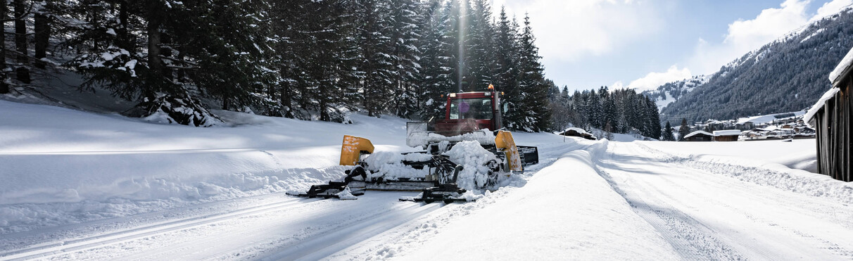 Eine Pistenraupe präpariert eine verschneite Loipe in einem Winterwald bei Sonnenschein.