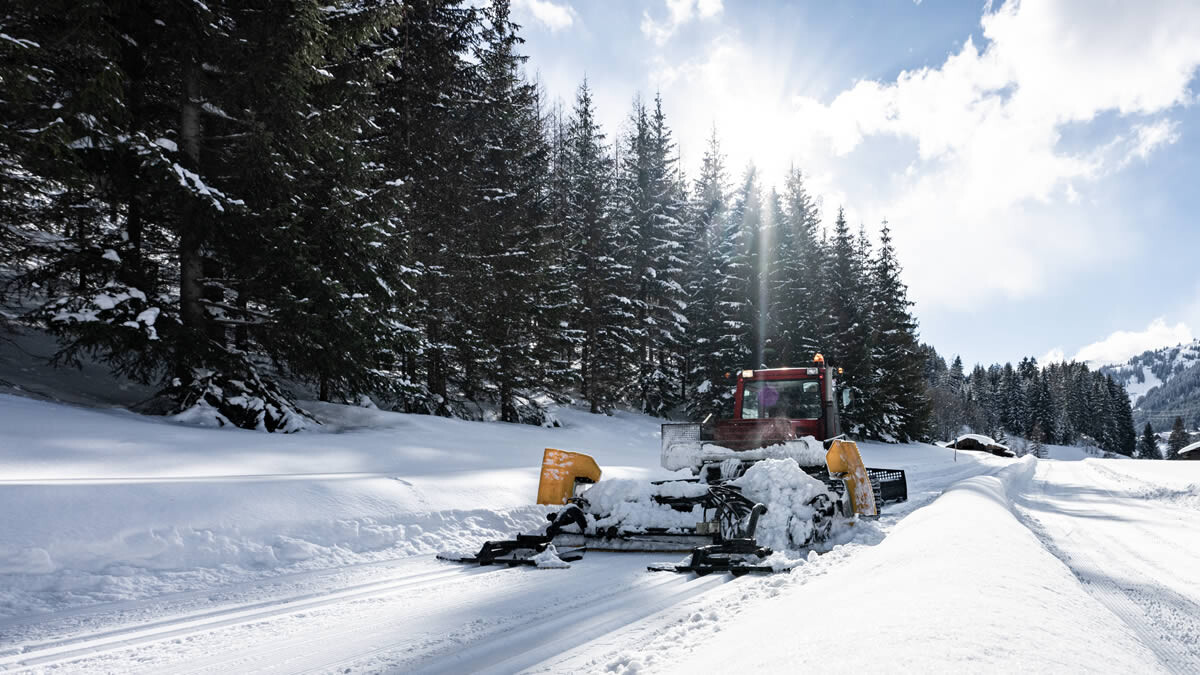 A snow groomer prepares a cross-country ski trail in a snowy forest under the sun.