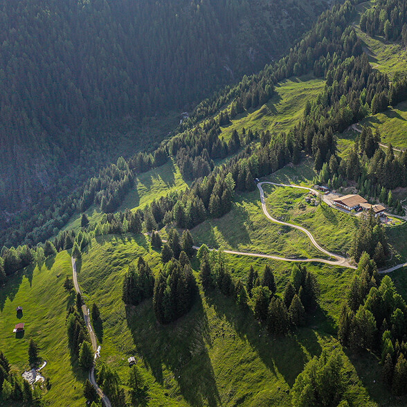 Drohnenaufnahme vom Nessler Weiher und der Nessler Alm in grünen Bergwiesen von St. Anton am Arlberg