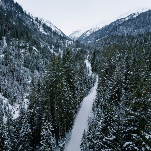 Snow-covered Verwall trail winds through dense winter forests near St. Anton am Arlberg.