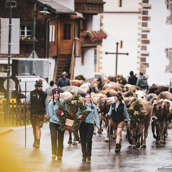 Decorated cattle make their way through Pettneu during the drive.