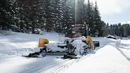 Pistenraupe präpariert winterliche Loipe am Waldrand bei Sonnenschein