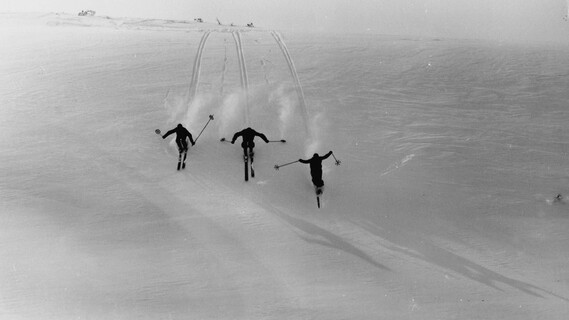 Drei Skifahrer fahren synchron durch frischen Pulverschnee und hinterlassen sichtbare Spuren im Schnee.