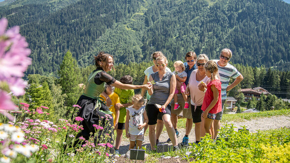 Families enjoy a guided herb walk in St. Anton – discover nature and learn about fragrant alpine plants.
