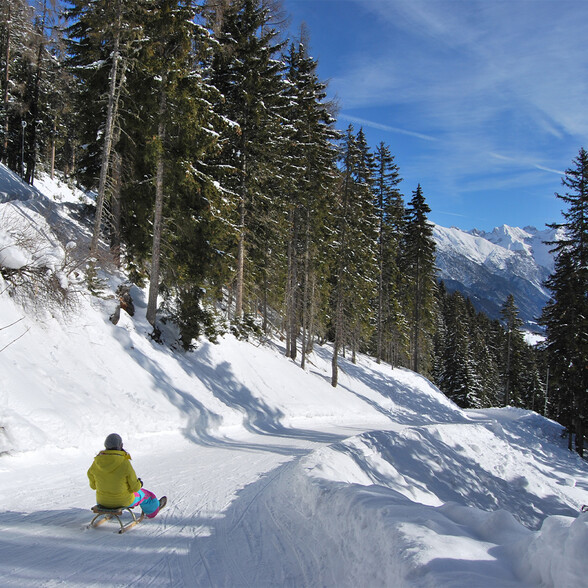 A person is sledding down a snow-covered toboggan run on a sunny winter day. The path winds through a dense, snow-laden coniferous forest in the Tyrolean Alps.