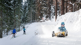 Rodler und Langläufer auf schneebedecktem Winterweg durch dichten Nadelwald.