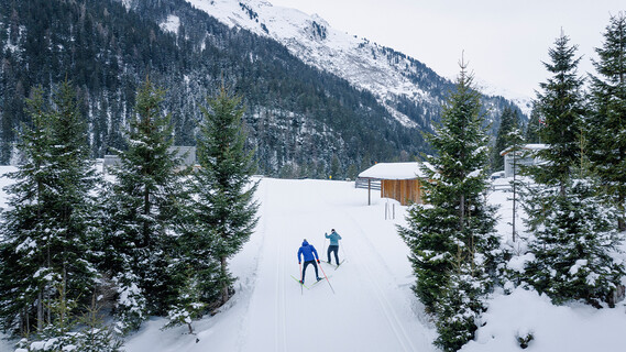 Two cross-country skiers glide through a snowy forest on groomed tracks.