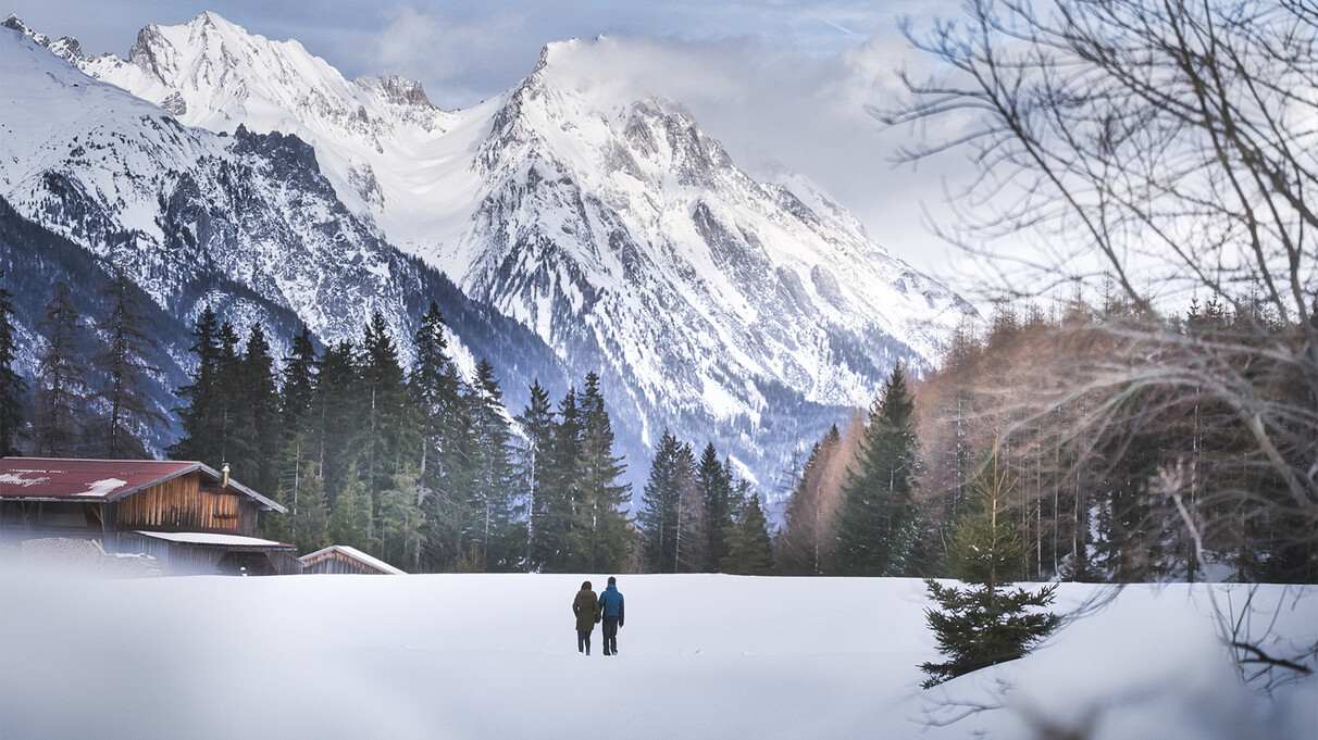 Winter and Snowshoe Hiking