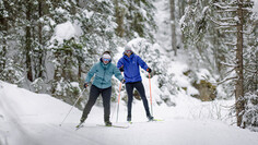 Zwei Langläufer skaten nebeneinander auf einer Spur durch den verschneiten Wald.