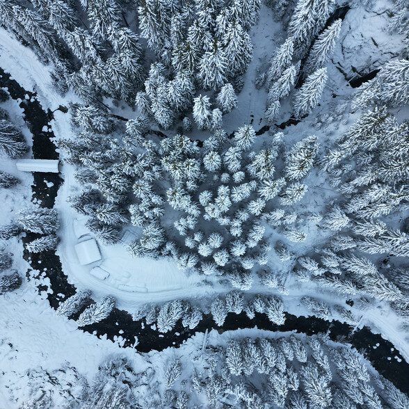 Luftaufnahme eines dichten Nadelwaldes im Winter, bedeckt mit frischem Schnee. Ein geschwungener, dunkler Bach durchzieht die Szenerie, die Bäume wirken wie mit Puderzucker bestäubt.