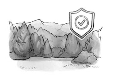 Zeichnung von einem gesunden Mischwald mit einem Schutzschild-Symbol, das Nachhaltigkeit und Naturschutz darstellt.