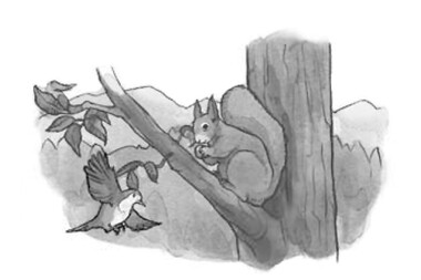 Zeichnung eines Eichhörnchens auf einem Ast, das eine Nuss hält, während ein Vogel daneben fliegt. Im Hintergrund sind Hügel und Wald zu sehen.