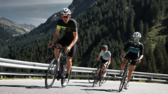 Vier Rennradfahrer fahren auf der kurvenreichen, bergigen Arlbergpassstraße durch dichte Nadelwälder.