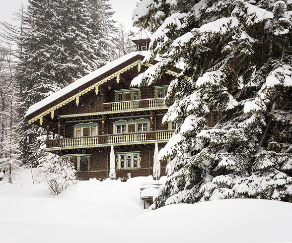 Ein altes Tiroler Holzhaus mit grünen Fensterläden steht verschneit zwischen hohen Tannen. St. Anton zeigt sich von seiner gemütlichen, traditionellen Seite.