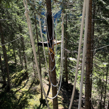 Weiße Kletterseile verlaufen in unterschiedlichen Höhen zwischen Bäumen in einem Waldparcours. Sonnenlicht fällt durch die Baumkronen auf den Waldboden.