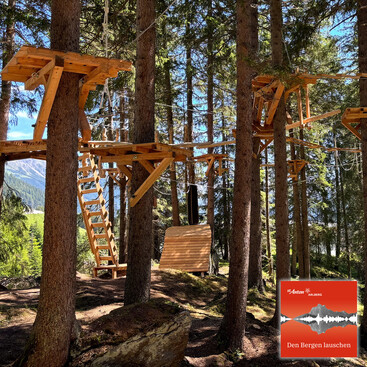 Holzplattformen und Kletterelemente aus Holz sind zwischen Baumstämmen eines Hochseilgartens aufgebaut, durchzogen von Seilen und umgeben von dichtem Nadelwald.