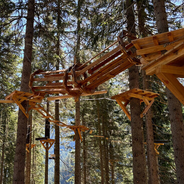 Ein Kletterelement aus Holz in Tunneloptik verbindet zwei Plattformen in einem Hochseilgarten zwischen Baumstämmen im Wald bei Tageslicht.