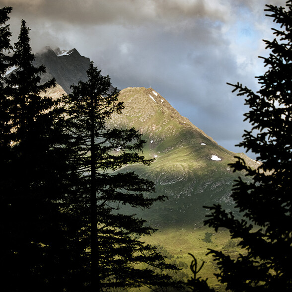Blick auf die Mittagsspitze durch zwei Nadelbäume hindurch vom Gegenhang. Der Himmel ist eher düster, mit dunkleren Wolken.
