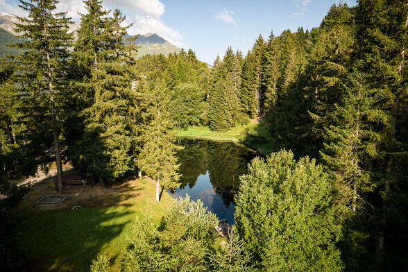 Drohnenaufnahme vom Egger Weiher aus dem Juli 2021