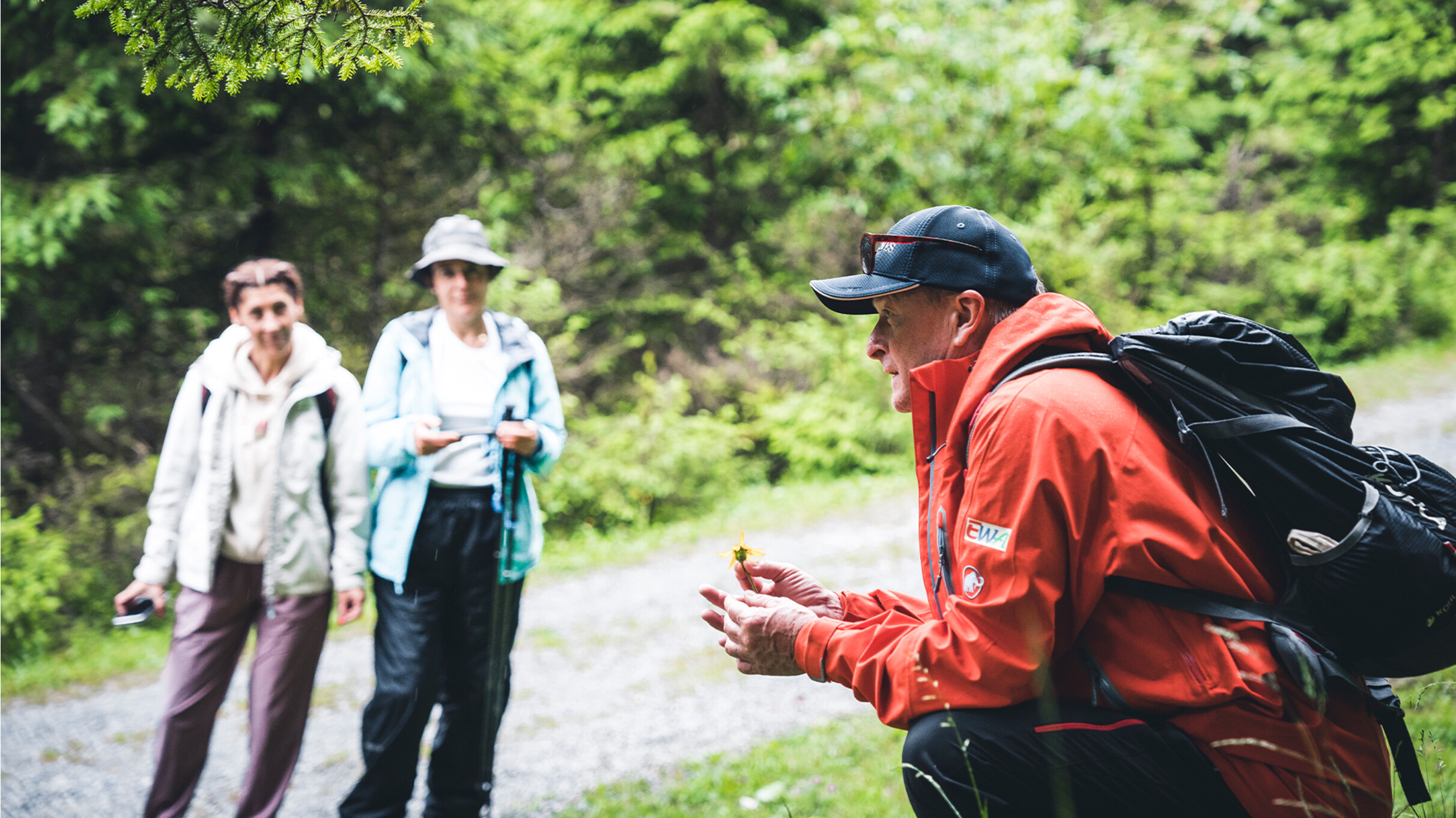Geführte Wanderung in St. Anton am Arlberg Ein Wanderführer im roten Outfit zeigt zwei Frauen am Waldrand eine gelbe Blume. Die Frauen hören aufmerksam zu, während der Guide kniet und die Pflanze in den Händen hält.