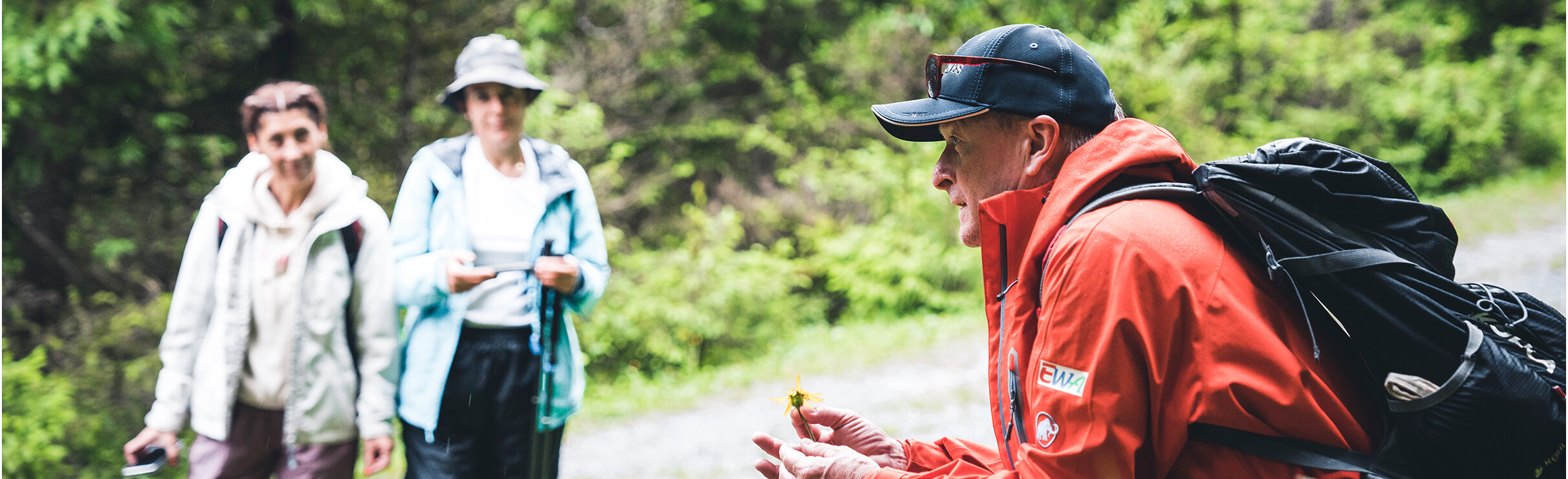 Ein Wanderführer im roten Outfit zeigt zwei Frauen am Waldrand eine gelbe Blume. Die Frauen hören aufmerksam zu, während der Guide kniet und die Pflanze in den Händen hält.