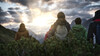 Geführte Sonnenaufgangswanderung in St. Anton am Arlberg Wandergruppe blickt bei Sonnenaufgang über die Berge. Die Szene ist in ruhigem Licht gehalten, die Personen tragen Outdoorjacken und genießen den Blick in die Ferne.