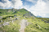 Bergpfad mit Aussicht / Mountain Trail with View Ein schmaler Wanderpfad führt durch grüne Almwiesen hinauf zu einem aussichtsreichen Bergrücken / A narrow hiking trail leads through green alpine meadows to a scenic ridge
