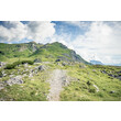 Ein schmaler Wanderpfad führt durch grüne Almwiesen hinauf zu einem aussichtsreichen Bergrücken / A narrow hiking trail leads through green alpine meadows to a scenic ridge
