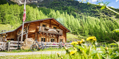 The Malfonalm is idyllically situated in the middle of a green Alpine valley with dense forests, striking mountains and a clear sky.