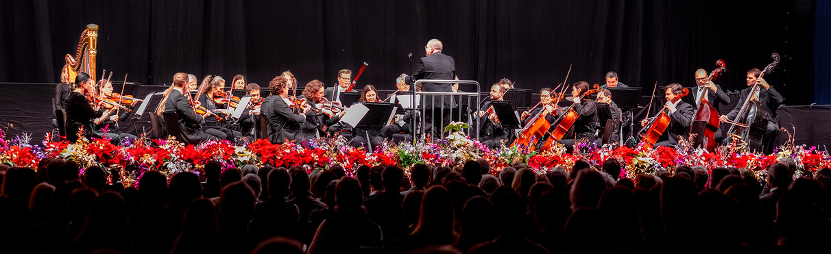 Das Johann Strauß Ensemble spielt mit Holzblas- und Holzstreichinstrumenten  klassische Musik, die Musikant:innen sind in schicker Abendgarderobe gekleidet und befinden sich auf einer hölzernen Bühne in einem stimmig belichteten Saal.