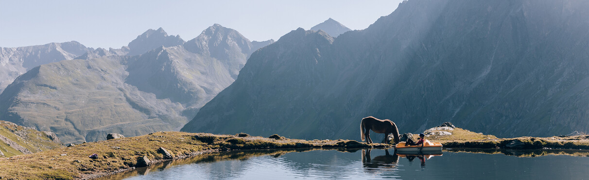 Alpenpanorama mit Bergsee und daraus labenden Pferd.