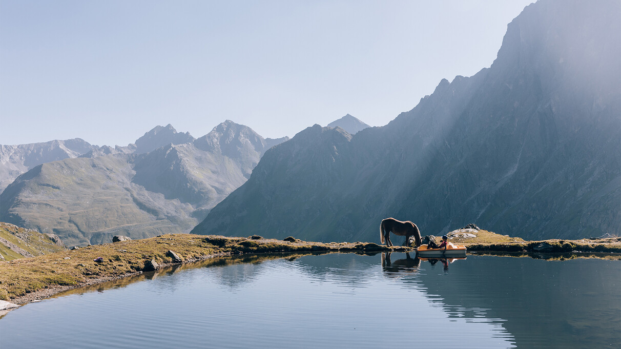 A panoramic view of the Alps with a mountain lake and a horse drinking from it.