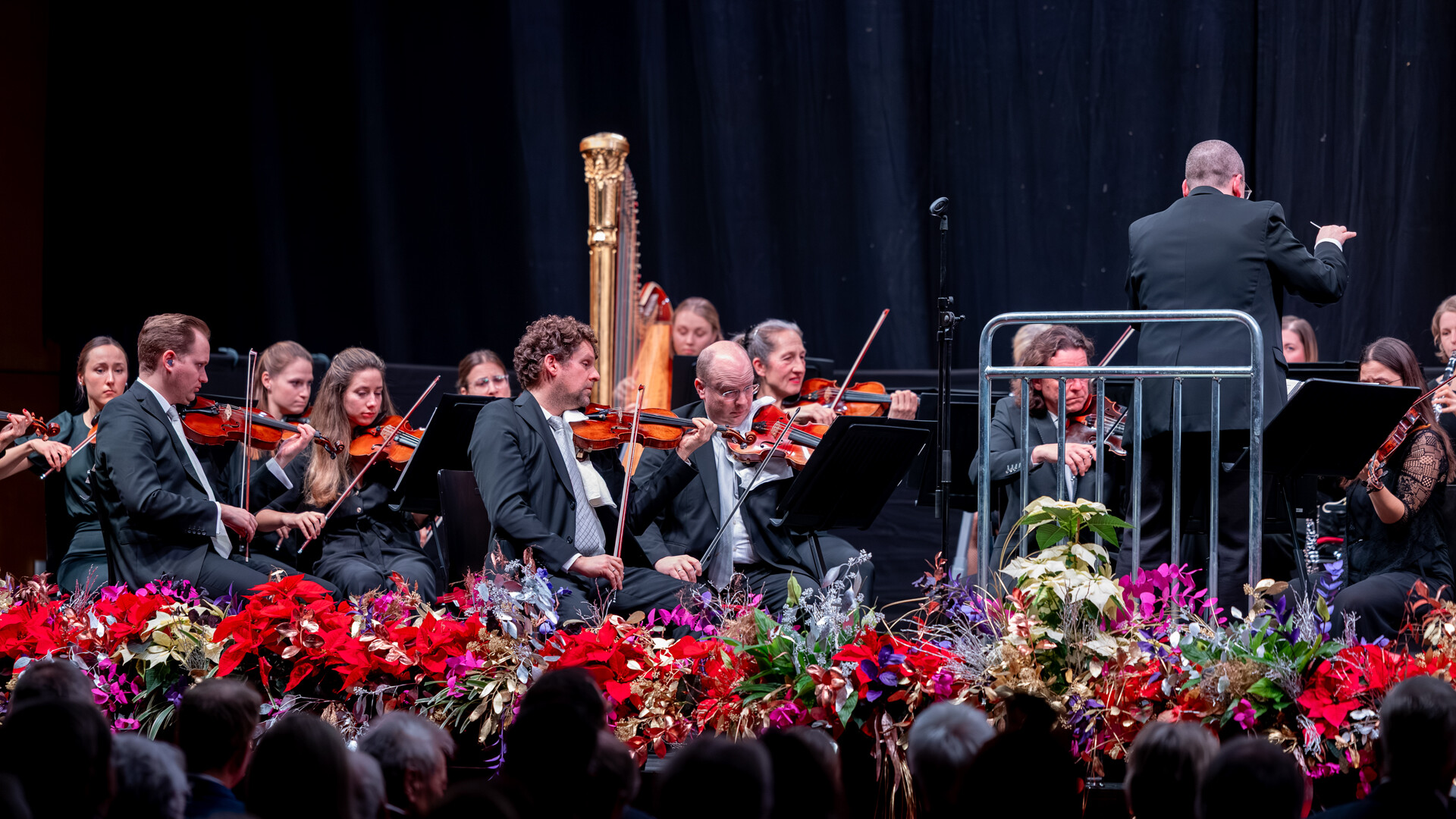 Streicher und Dirigent / Strings and conductor Streicher des Orchesters mit Dirigent / String section and conductor during performance