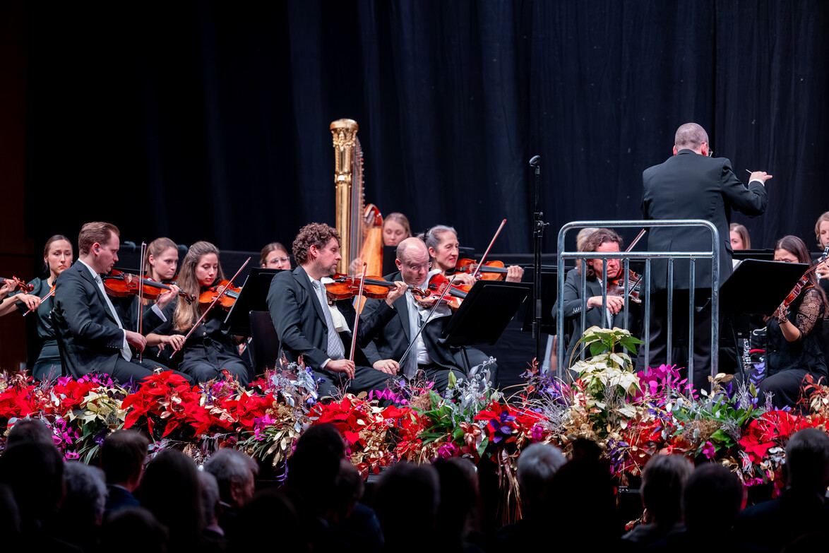 Streicher des Orchesters mit Dirigent / String section and conductor during performance