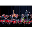 Streicher des Orchesters mit Dirigent / String section and conductor during performance