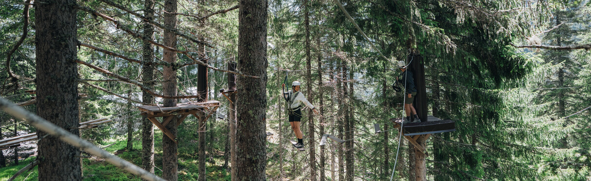 Persona assicurata che attraversa un ostacolo del percorso avventura tra alti alberi di conifere, mentre un'altra persona aspetta sulla piattaforma.