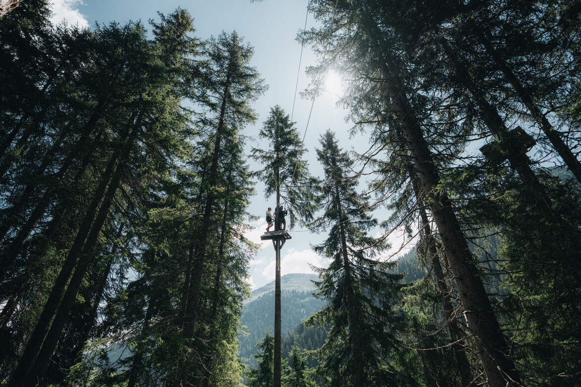 Hohe Plattform im Waldseilgarten Zwei gesicherte Personen stehen auf einer hohen Plattform im Waldseilgarten zwischen den Bäumen.