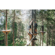 Vorbereitung auf das nächste Hindernis Zwei gesicherte Personen stehen auf einer Plattform im Waldseilgarten und bereiten sich auf das nächste Hindernis vor.