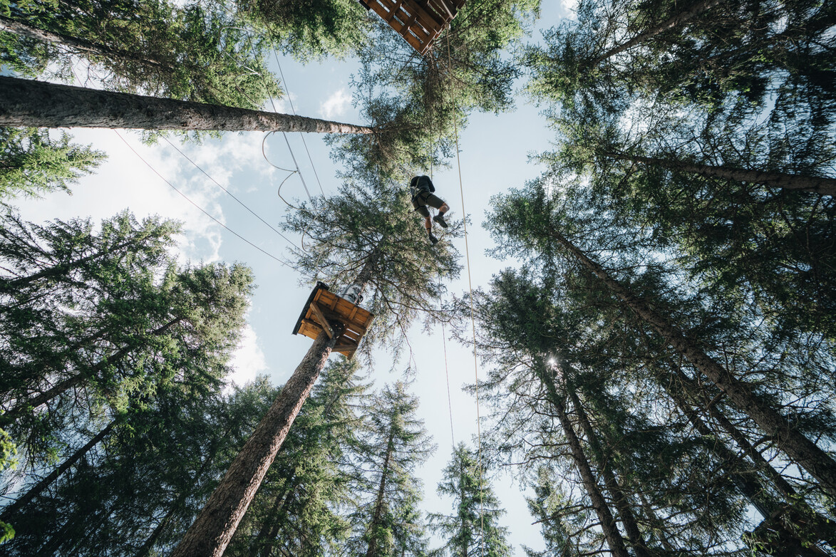 Hochseilelement im Waldseilgarten Gesicherte Person überquert ein Hindernis hoch zwischen den Bäumen im Waldseilgarten.