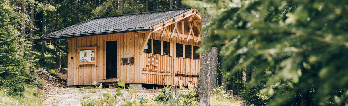 A bee house is surrounded by trees on the edge of the forest with mountain views.