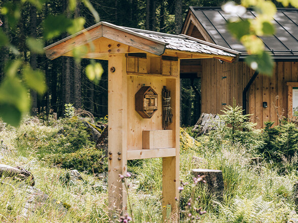 An insect hotel stands in a wildflower meadow in front of the bee house at the edge of the forest.
