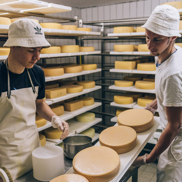 The Putzen Alpe dairy, with cheese laid out on a table for inspection