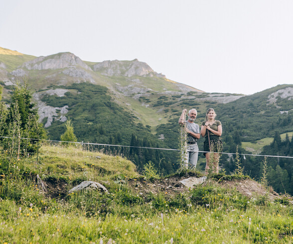 Alpine farmers on a small ledge on the mountainside