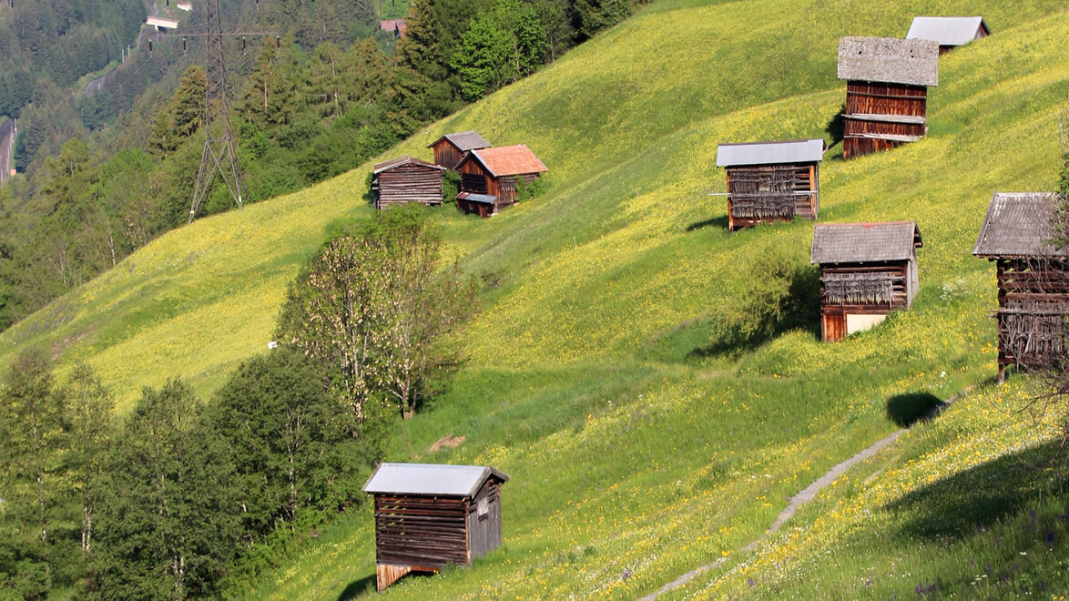 Mehrere traditionelle Stadel stehen verstreut an einem steilen, grünen Berghang. / Traditional wooden barns scattered across a steep, green alpine slope.