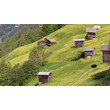 Mehrere traditionelle Stadel stehen verstreut an einem steilen, grünen Berghang. / Traditional wooden barns scattered across a steep, green alpine slope.