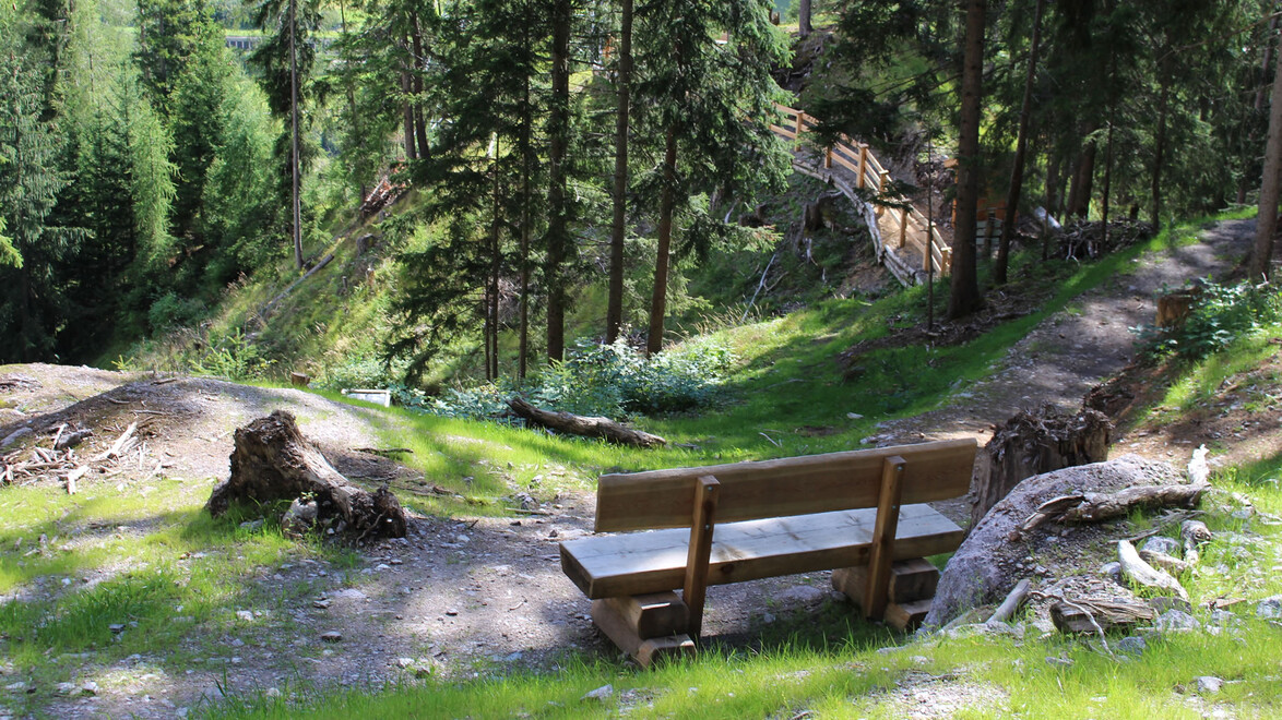 Sitzbank auf einem Waldweg entlang der historischen Bergbauanlage. / Wooden bench along the historic mining trail in the forest.