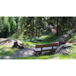 Sitzbank auf einem Waldweg entlang der historischen Bergbauanlage. / Wooden bench along the historic mining trail in the forest.