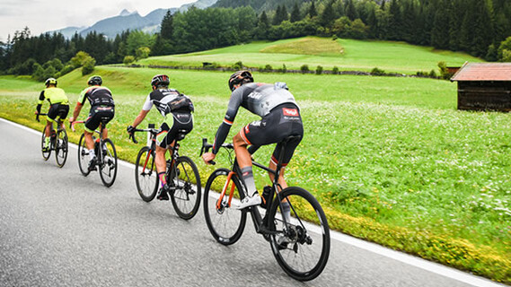 Four road cyclists ride on a country road through green meadows, with trees and a cabin in the background.