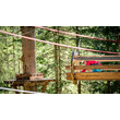 Holzplattform mit Seilführung im Wald, Teil des Hochseilgartens, keine Person sichtbar / Wooden platform with rope system in forest, part of the high ropes course, no person visible